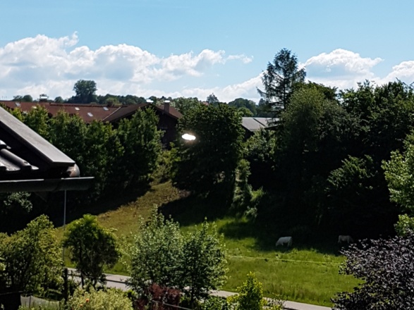 Blick auf den Garten