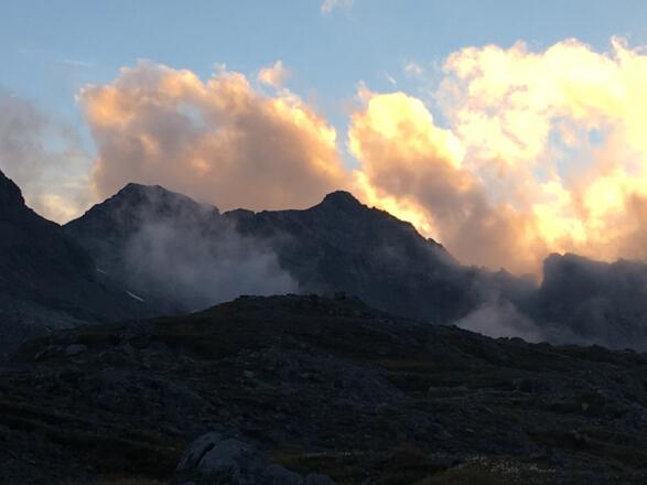 Johannisköpfe im Abendlicht