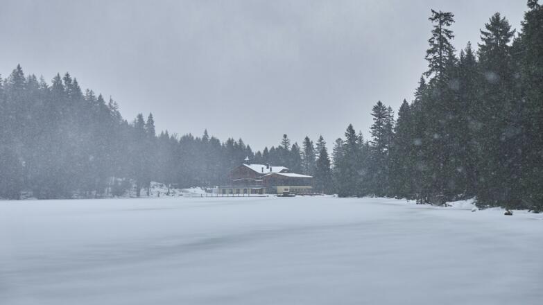 Schneegestöber am Arbersee