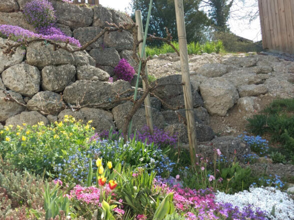 Blumen