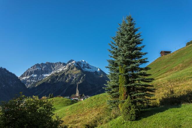 Franky Drechsel 008 (Large)