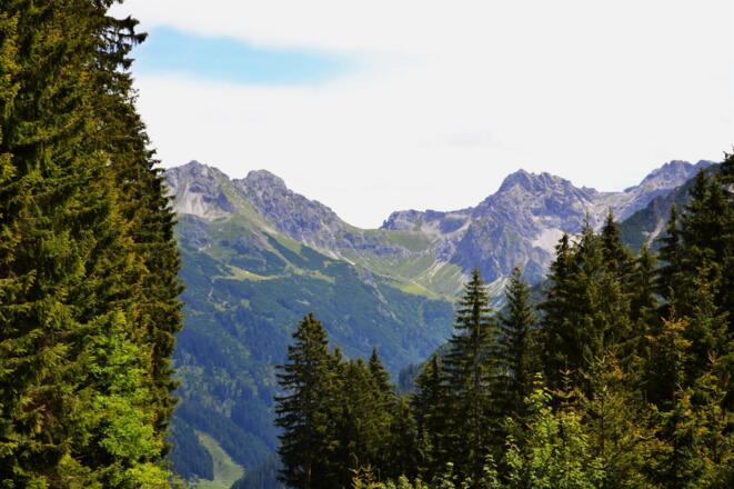 Sonnnehof Mittelberg (7)