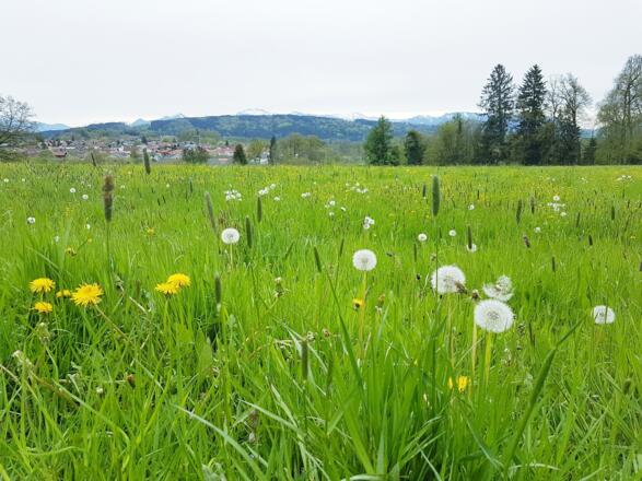 Panoramaweg Bad Endorf