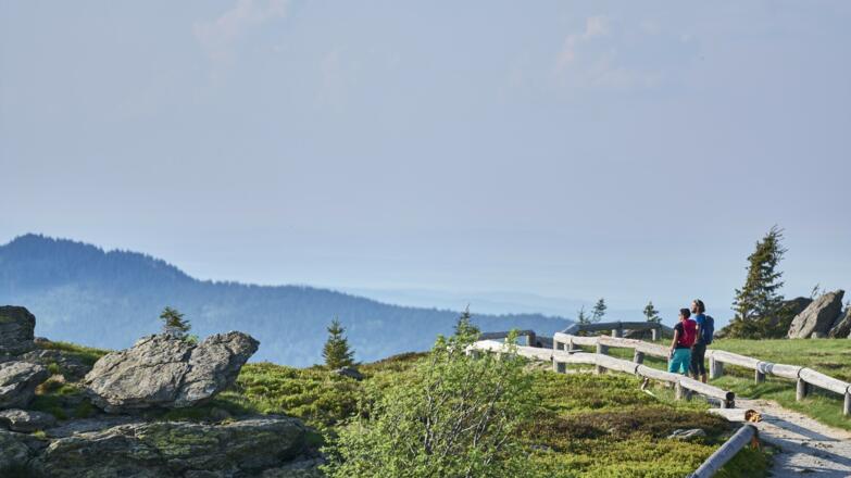 Gipfelplateau Gr. Arber