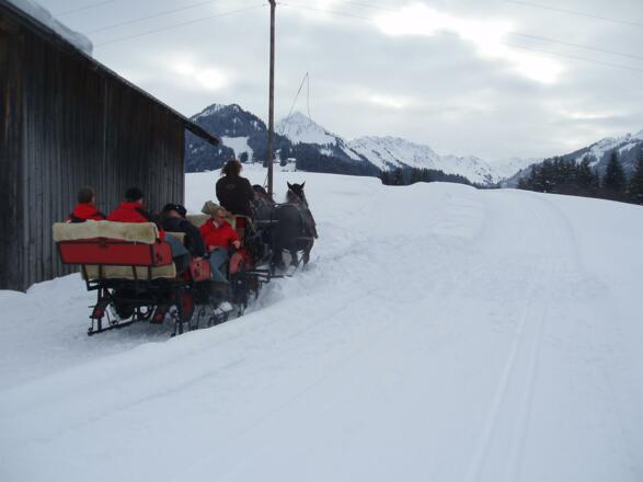 Kutschenfahrt im Winter