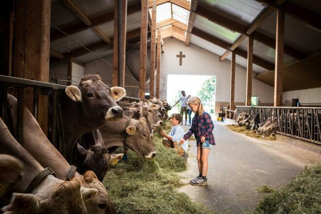 Gerne darf bei der Stallarbeit mitgeholfen werden