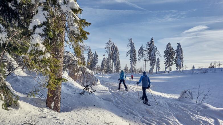 Sportlich unterwegs am winterlichen Silberberg