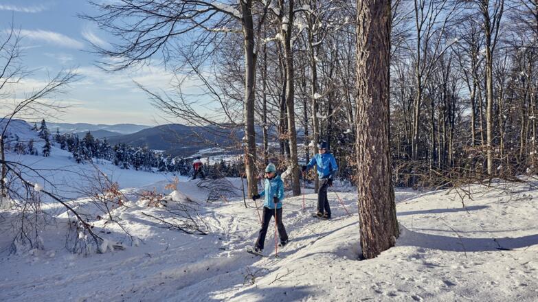 Sportlich unterwegs am winterlichen Silberberg