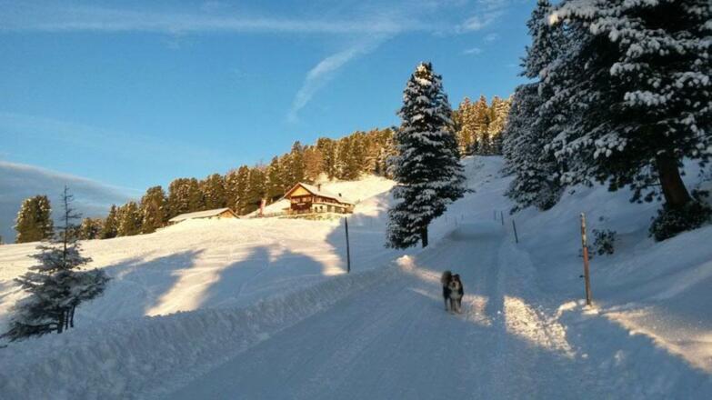 Feldring Alm Winter