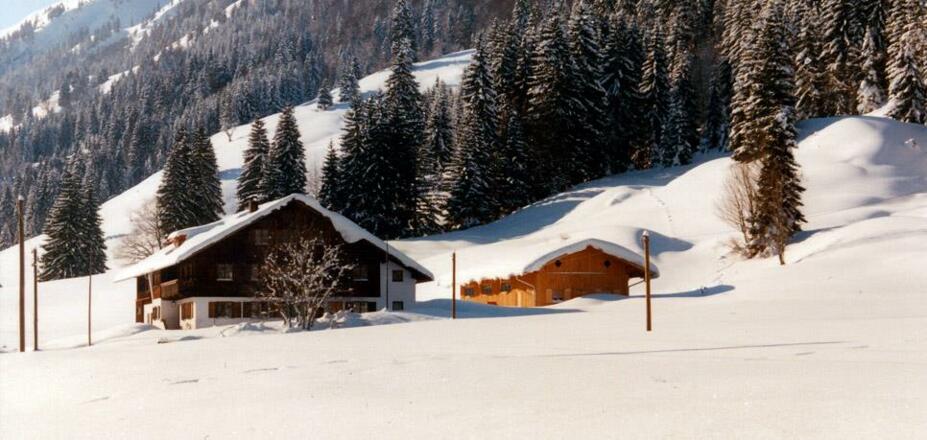 Alpe im Winter