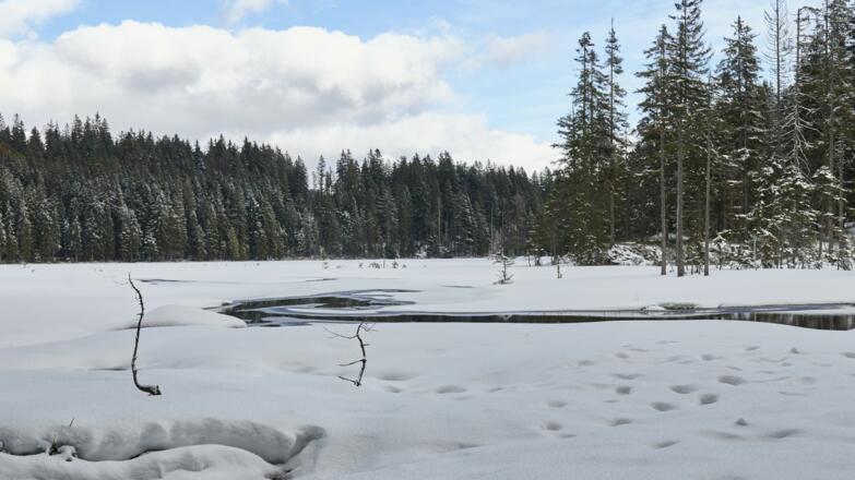 Winter am Großen Arbersee