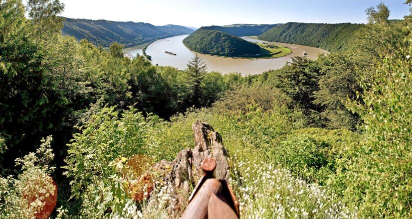 Schlögener Schlinge Panorama