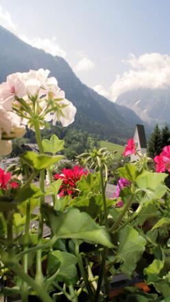 Blumen
