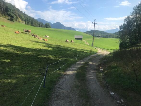 Wiesenweg nach Leithen