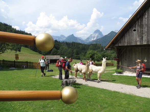 Pilgernde mit Lamas, im Hintergrund die Spitzmauer als höchster Berg