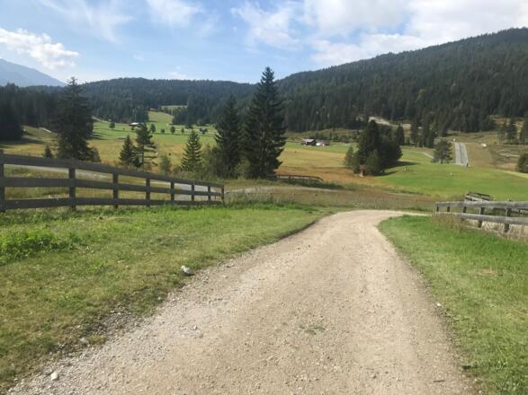 Blick in Richtung Möserertal