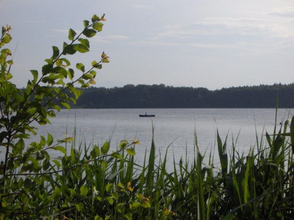 Schöner Seeblick am Hartsee