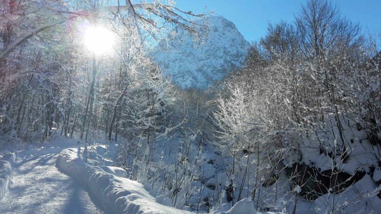 Winterwonderland