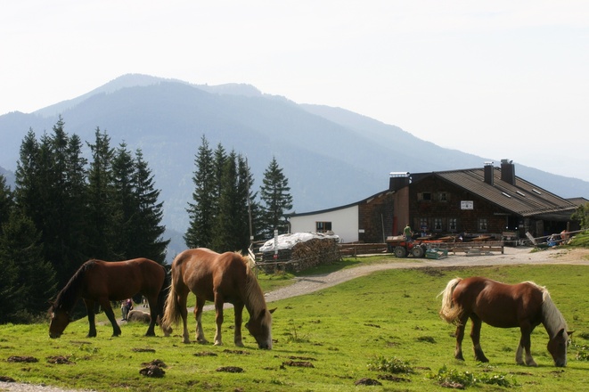 Hörnle Hütte mit Pferden