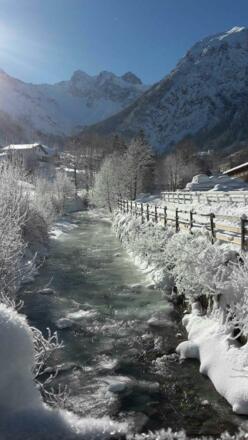 Alvierbach