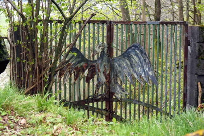 Tor mit Adler Ruine Lichtenhag ~490m