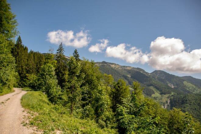auf Forstwegen Richtung Moaralm