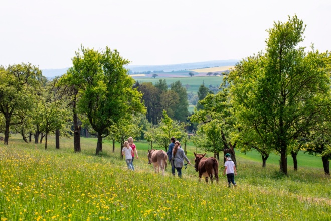 Wandern mit Esel auf dem Eselsweg