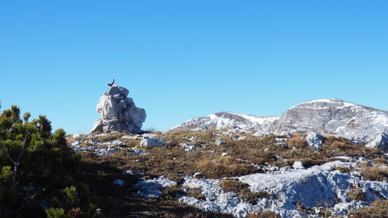 Gamsstein 2057m, Westgipfel