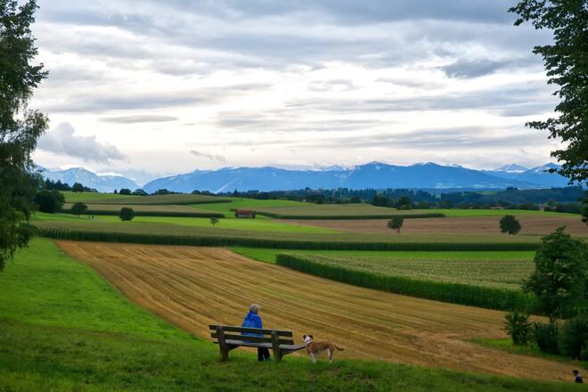 Schöner Blick vom Gögerl in die Alpen