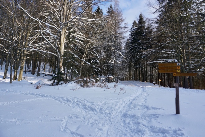Abzweigung am Waldrand über Buchenau - links zum Lindbergschachten