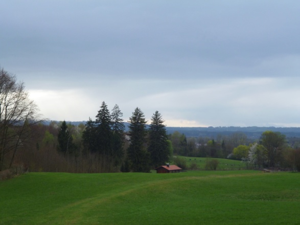 Blick über die sanfte Hügellandschaft mit saftig grünen Wiesen und Weiden kurz bevor der Weg in den Wald führt.