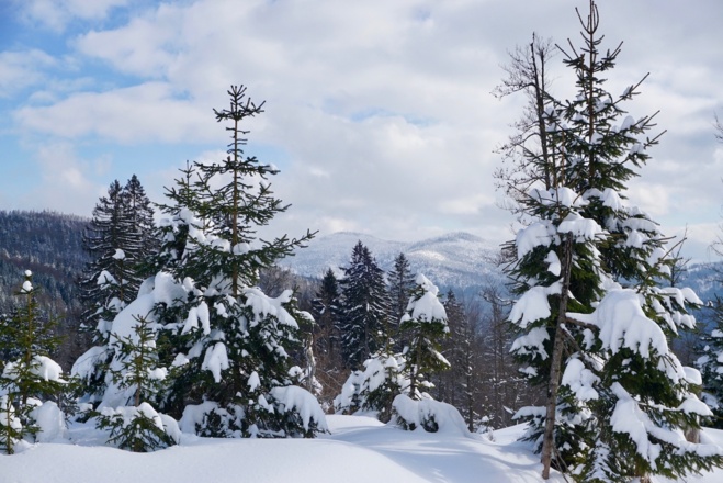 Blick zum Rachel (1453 m) vom Weg nach der Hirschbachschwelle