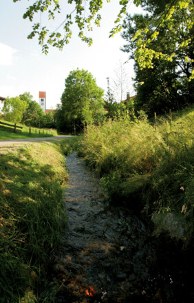 Der Weg führt uns durch ein wild romantisches Bachtal