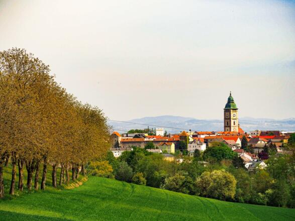 cittaslow_Blick auf Enns