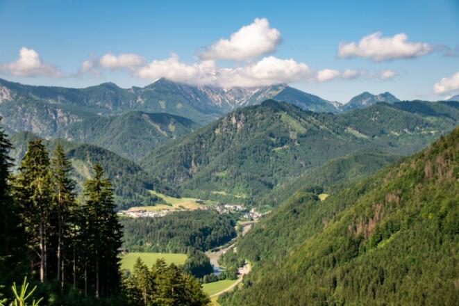 blick ins Tal nach Palfau