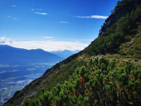 gleich am Thaurer Zunterkopf