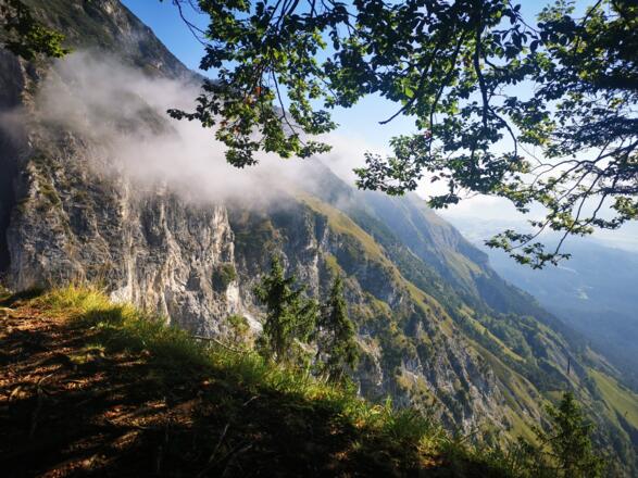 Gerschaffl Blick