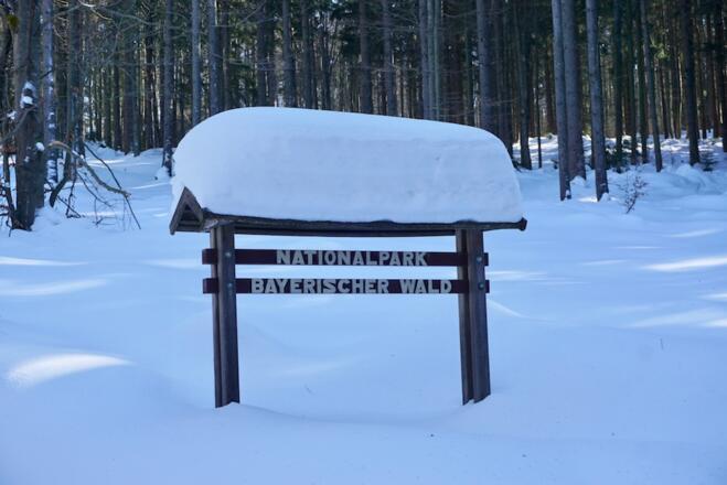 Eintritt in den Nationalpark Bayerischer Wald