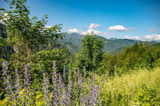 auf Forstwegen Richtung Naturfreundehaus