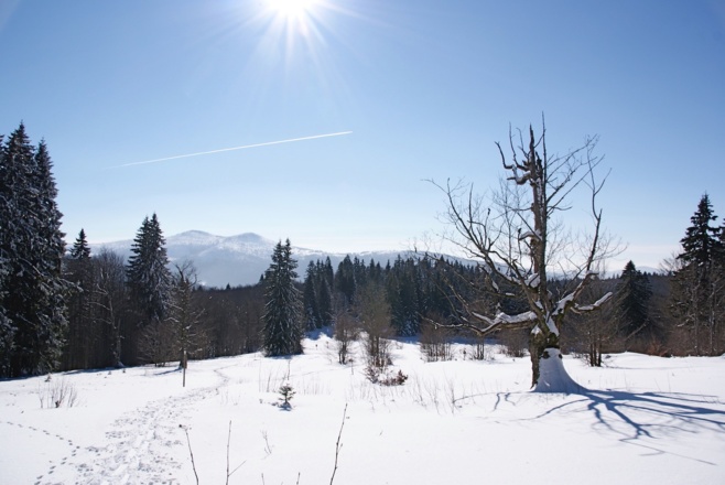 Lindbergschachten - Blick zum Rachel