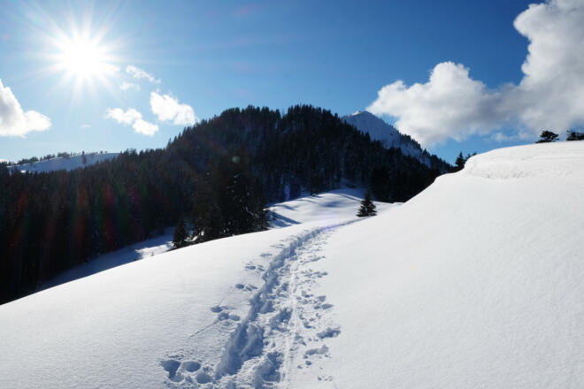Weiterweg in Richtung Fockenstein.