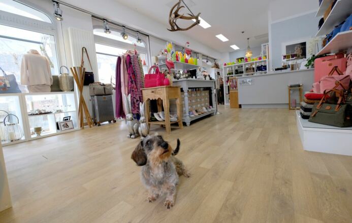 Jagdfieber Rottach-Egern