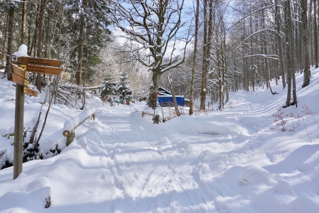 1. Abzweigung nach Buchenau