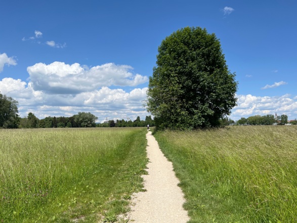 Radweg zum Dehner Blumenhaus, Rain