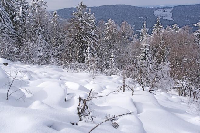 Käsplatte - Blick nach Riedelswald