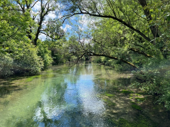 Biotop vor Münster (Lechradweg)