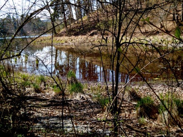 Durch die Bäume kann immer wieder ein Blick auf den See erhascht werden.