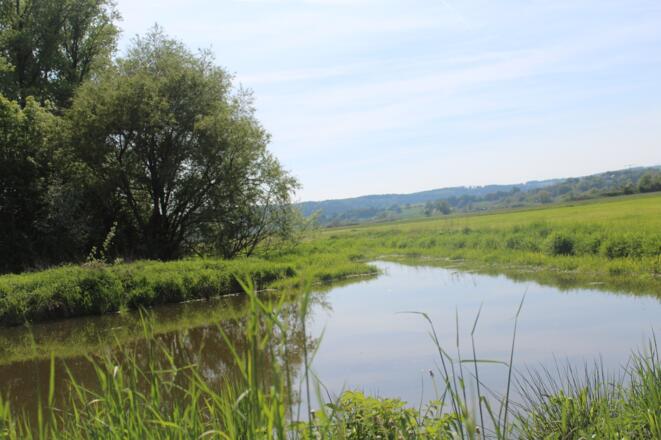 Landschaft im Rodachtal