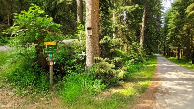Schilderbaum und Straße nach Winklern