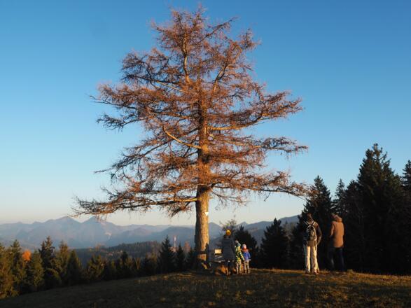 Herbststimmung am Grillenparz